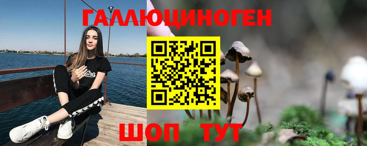 Янаул  Псилоцибиновые грибы прущие грибы  Вход с VPN 